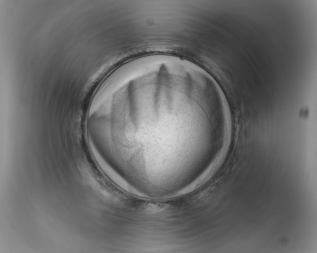 X0000113130346200909251245