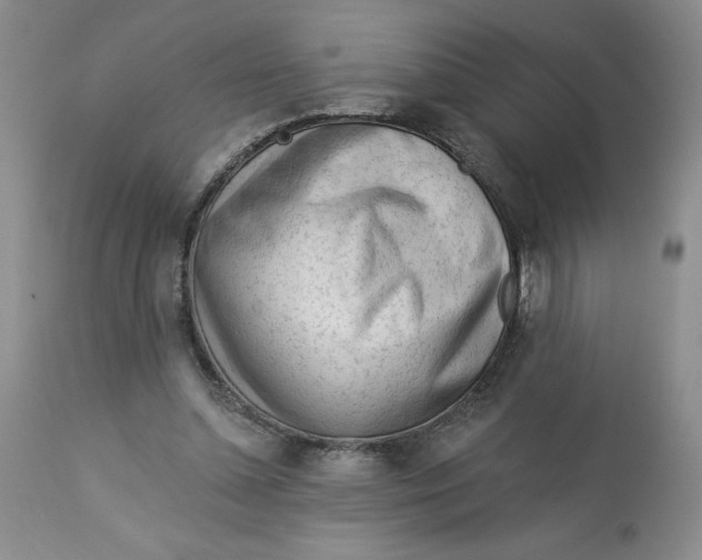 X0000113130348200909251245