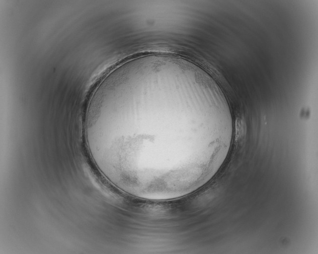 X0000113130349200909251245