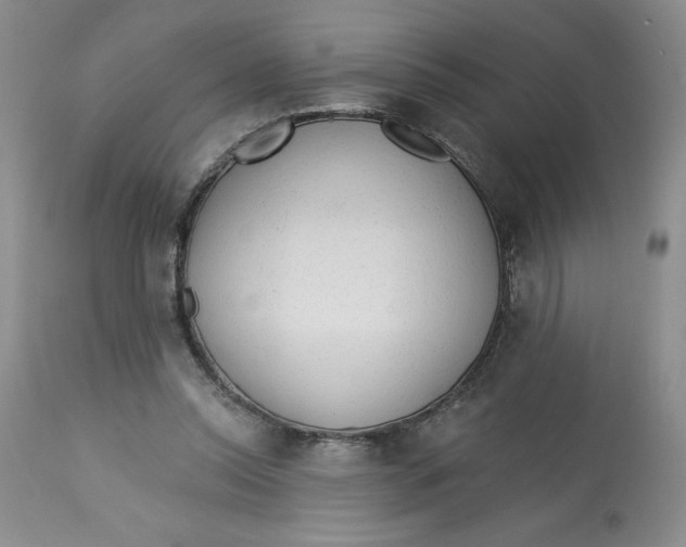 X0000113130350200909251245