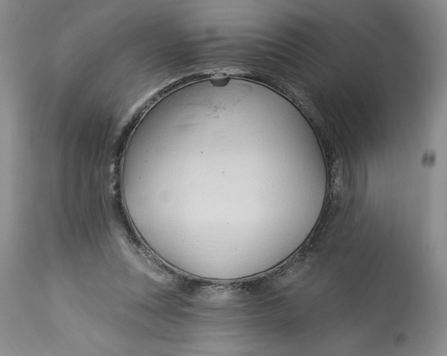 X0000113130351200909251245