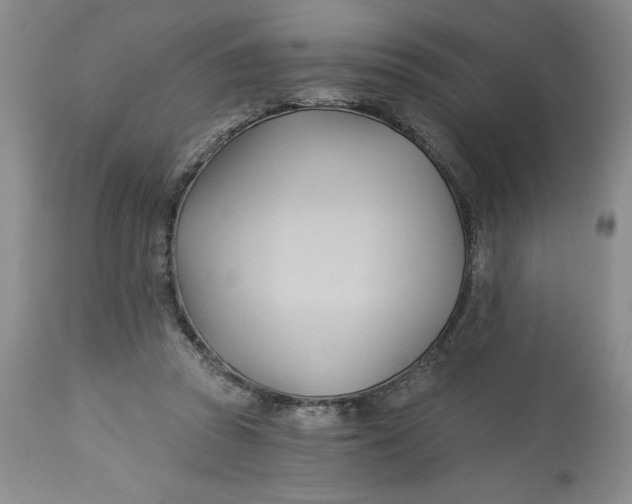 X0000113130353200909251245