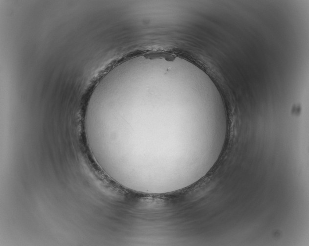 X0000113130354200909251245