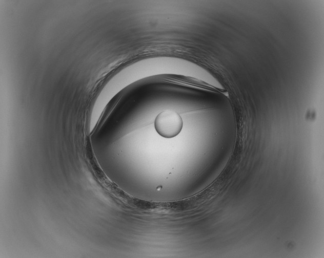 X0000113130356200909251245