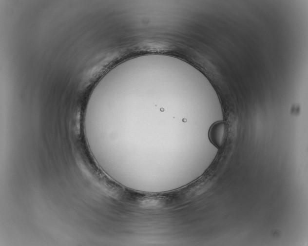 X0000113130358200909251245