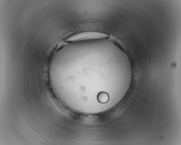 X0000113130359200909251245