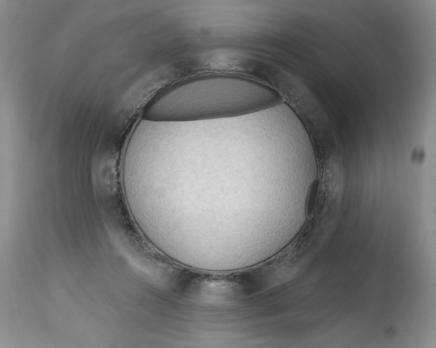 X0000113130360200909251245