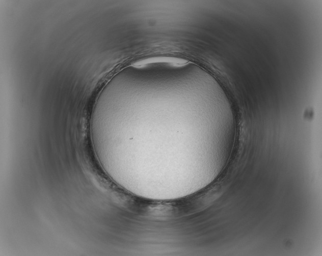 X0000113130362200909251245