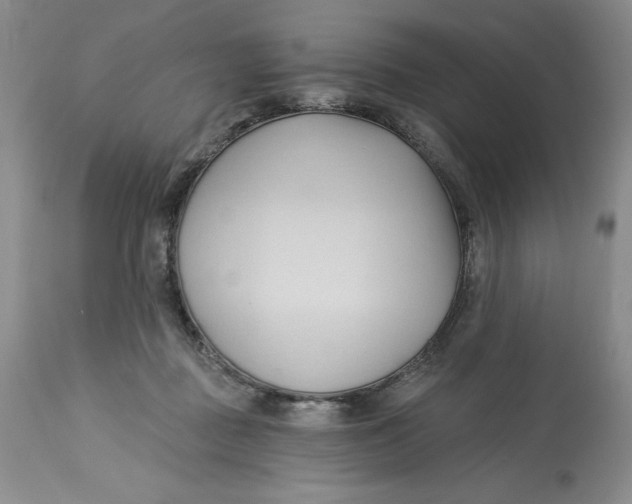 X0000113130363200909251245