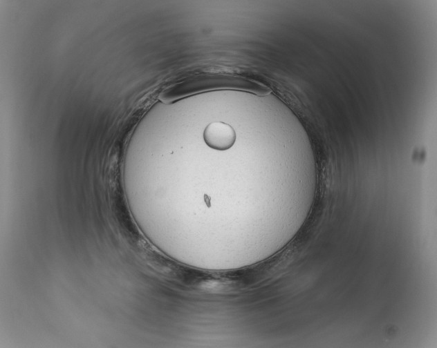 X0000113130364200909251246