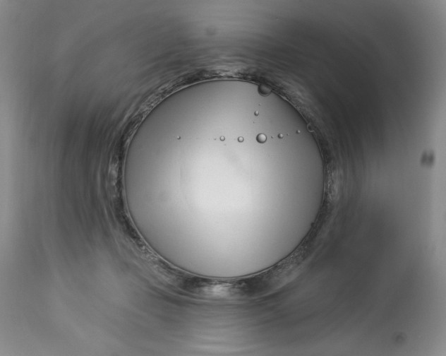 X0000113130365200909251246