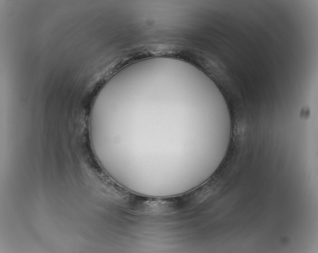 X0000113130367200909251246