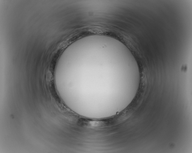 X0000113130371200909251246