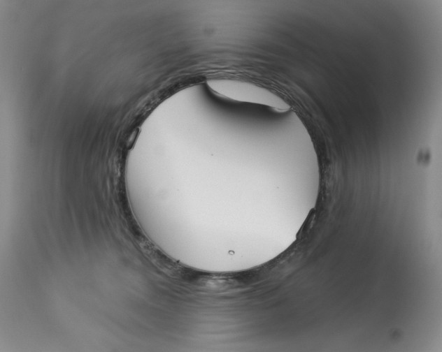 X0000113130372200909251246