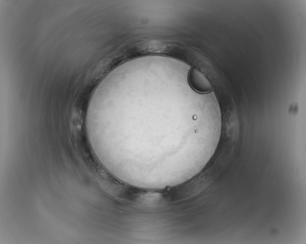 X0000113130374200909251246