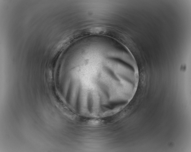 X0000113130375200909251246