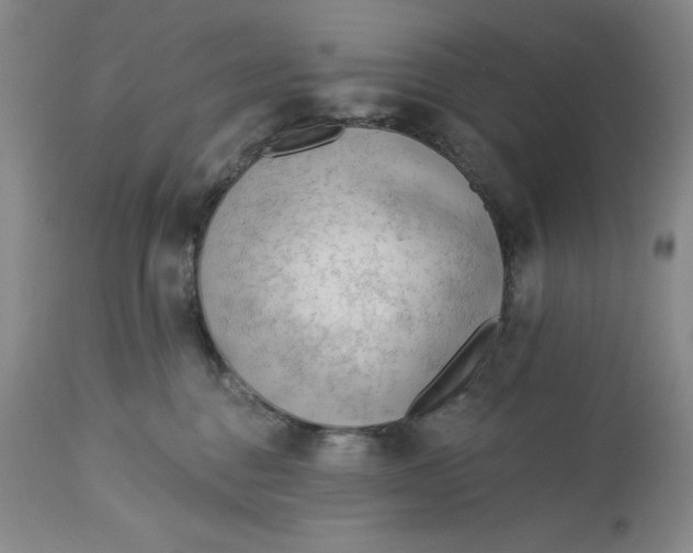 X0000113130376200909251246