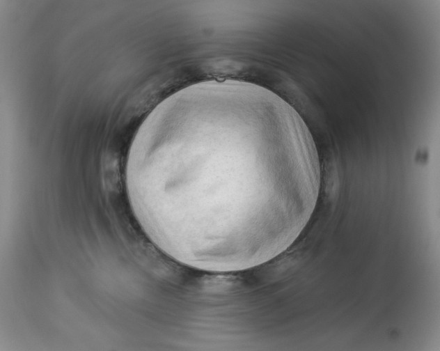 X0000113130378200909251246