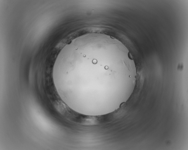 X0000113130381200909251246