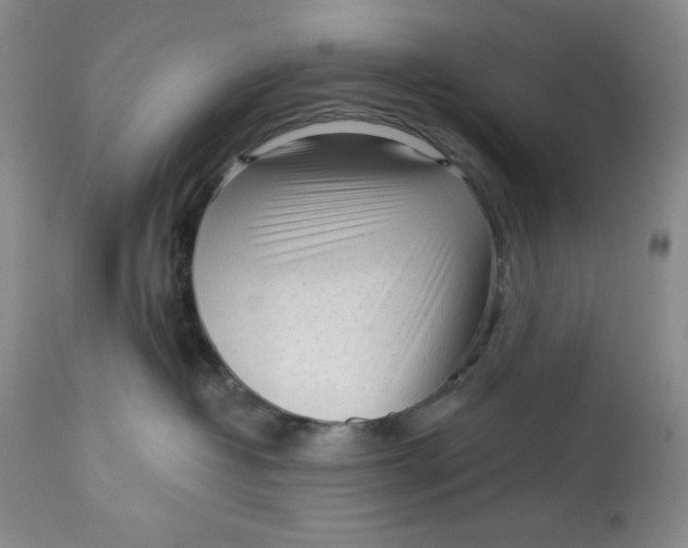 X0000113130382200909251246