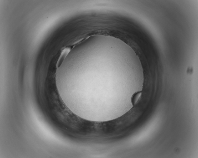 X0000113130383200909251246