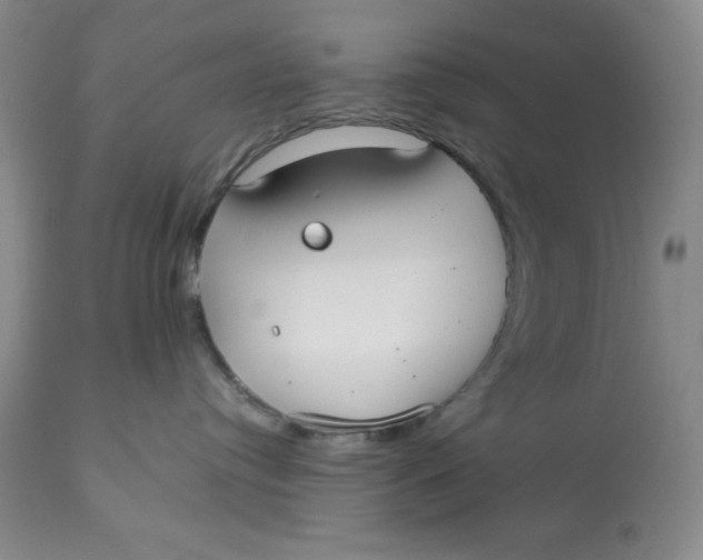 X0000113130384200909251246