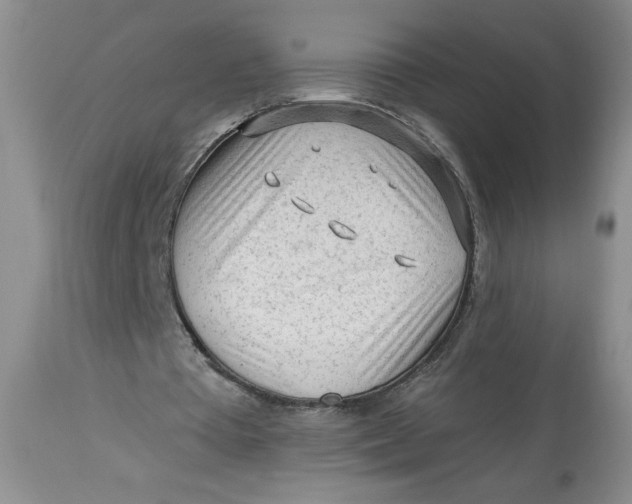 X0000113130385200909251245