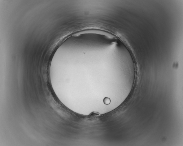 X0000113130386200909251245