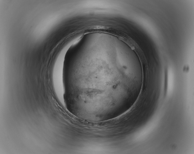 X0000113130387200909251245