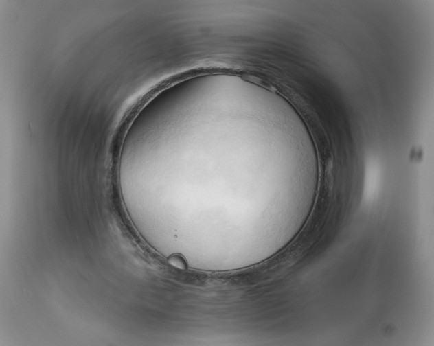 X0000113130388200909251245