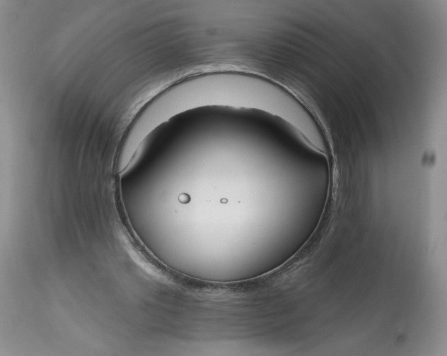 X0000113130389200909251245