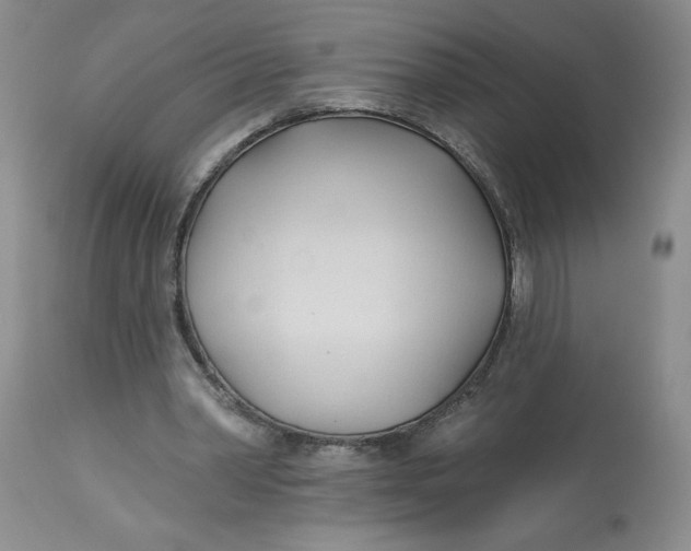 X0000113130390200909251245