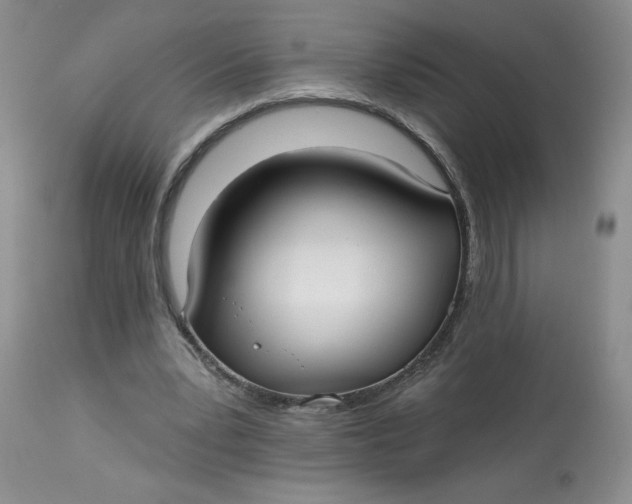 X0000113130391200909251245