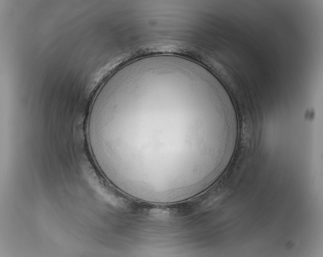 X0000113130394200909251245