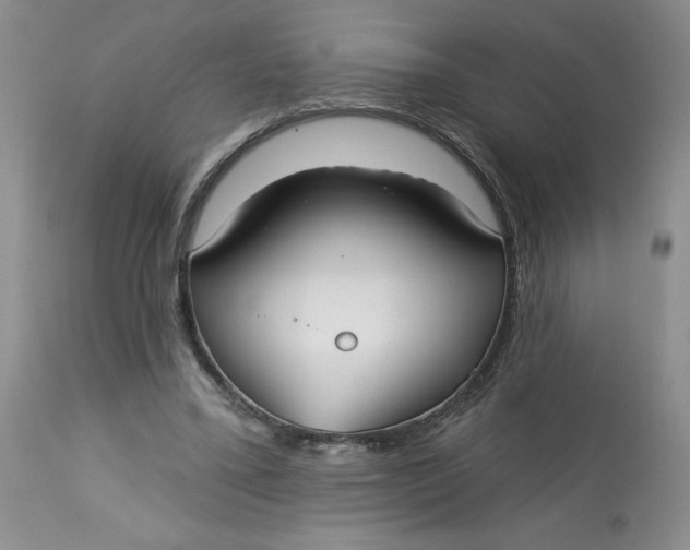 X0000113130395200909251245