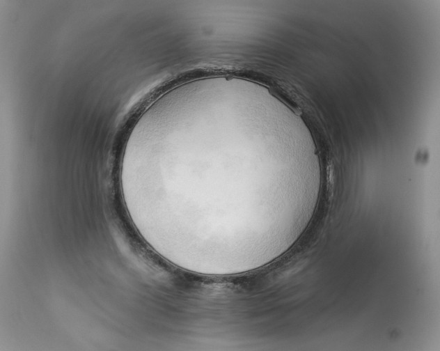 X0000113130396200909251245