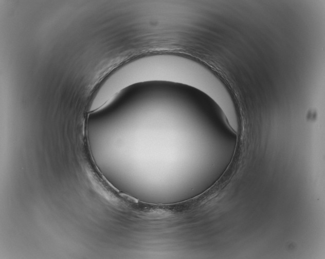 X0000113130397200909251245