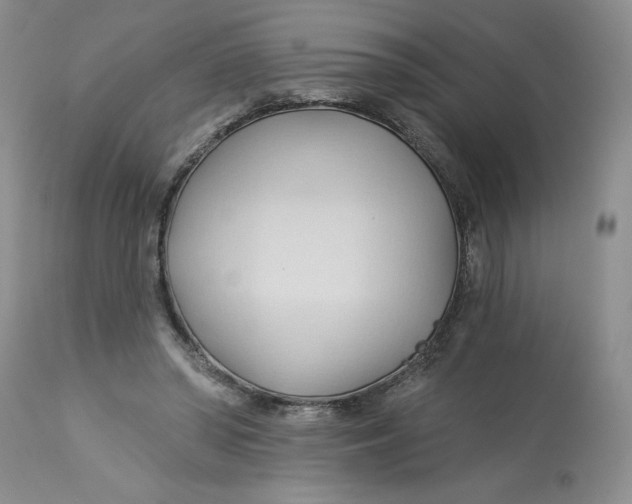 X0000113130398200909251245