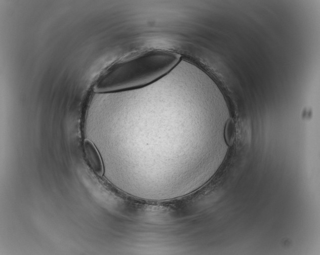 X0000113130399200909251245