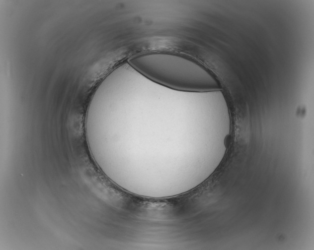 X0000113130401200909251245