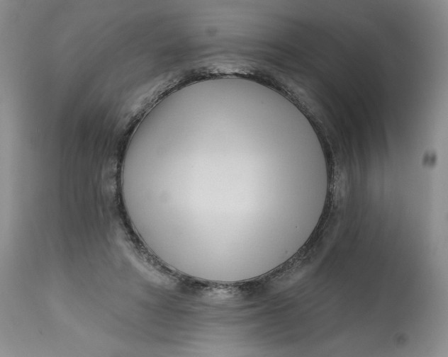 X0000113130402200909251245