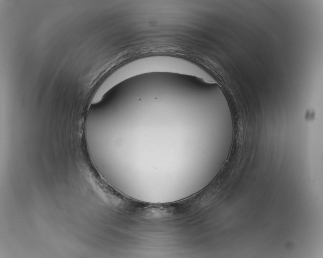 X0000113130405200909251245