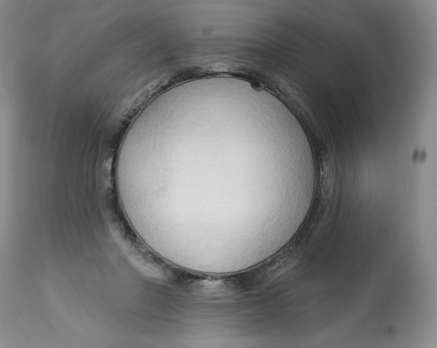 X0000113130406200909251245