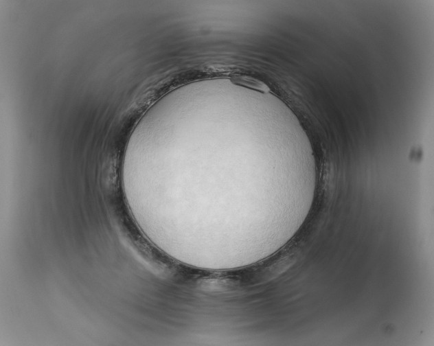 X0000113130408200909251245