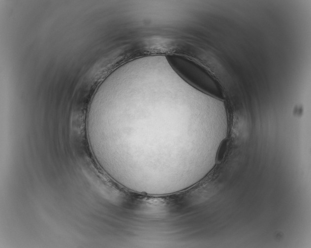 X0000113130409200909251245