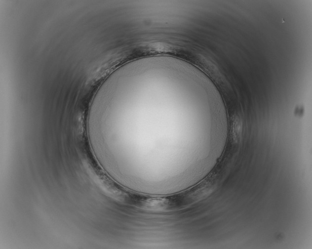 X0000113130410200909251245