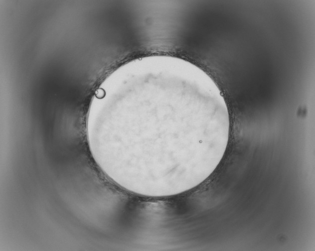 X0000113130411200909251245