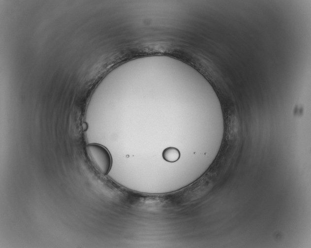 X0000113130414200909251245