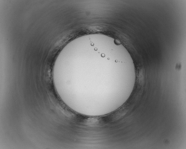 X0000113130418200909251245