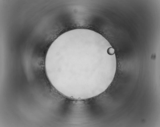 X0000113130419200909251244